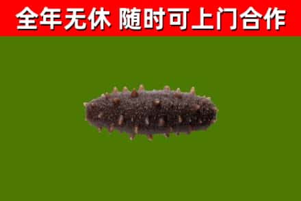 长泰烟酒回收干海参.jpg